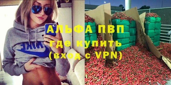 СК Бородино