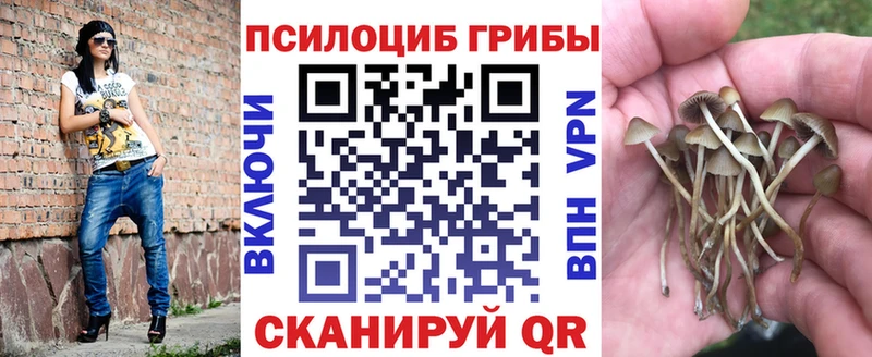 Галлюциногенные грибы мухоморы  мега ссылки  Гусь-Хрустальный 